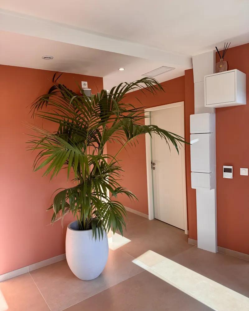 L'accueil du cabinet, aux murs couleur argile
